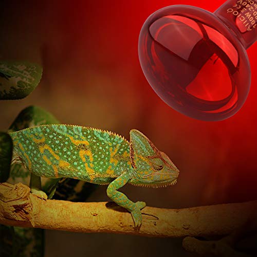 AIICIOO Infrarood Warmte Lamp - Reptiel Verwarming Lamp Spot voor Hagedissen Schildpadden Snakes Spinnen Draak, 100W 2pack, Rood - Afbeelding 7