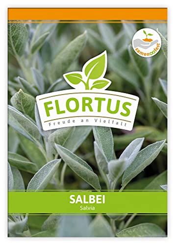 FLORTUS Salbei | Kräutersamen | Salbeisamen | Samen zur Anzucht für Garten, Balkon, Küche & Fensterbank