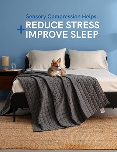 YnM Exclusive 25lbs Weighted Blanket, Smallest Compartments with Glass Beads, Bed Blanket for One Person of 240lbs, Ideal for on Queen or King Bed (Dark Grey, 60"x80" 25lbs)