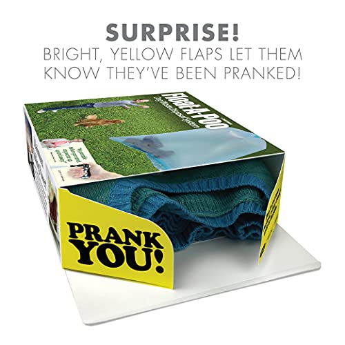 Prank Pack, Float-A-Poo Prank Gift Box, Wrap Your Real Present in a Funny Authentic Prank-O Gag Present Box | Novelty Gifting Box for Pranksters… - Image 3