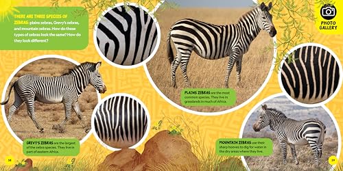 National Geographic Little Kids First Big Book of African Animals (National Geographic Little Kids First Big Books) - Image 3