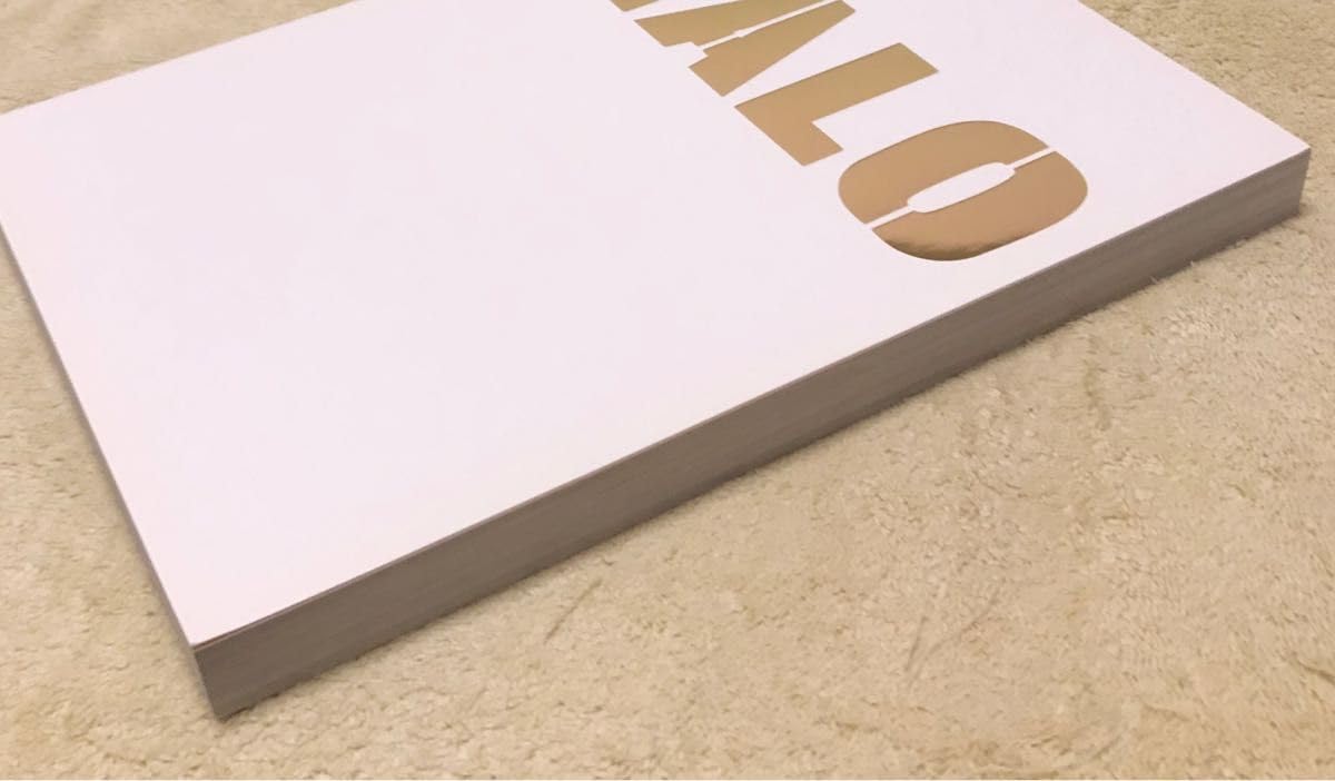 Amazon.co.jp: 少女時代 ティファニー ペンカフェ フォトブック 写真集