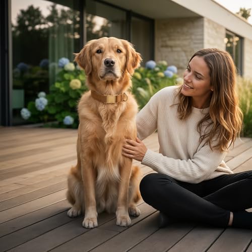 Elegantes Hundehalsband aus Samt mit Goldener Metallschnalle – Hochwertig, bequem & verstellbar – Edles Design in Mehreren Farben & Größen (23–60 cm) (Hellbraun, L = Umfang 36-60cm)