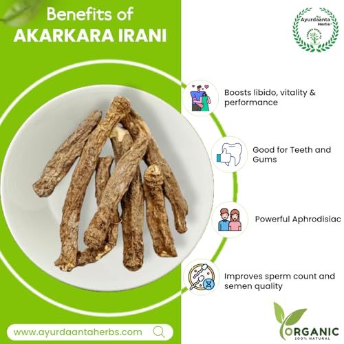 Image of Irani Akarkara /ईरानी अकरकरा | Anacyclus Pyrethrum (50 Gram)