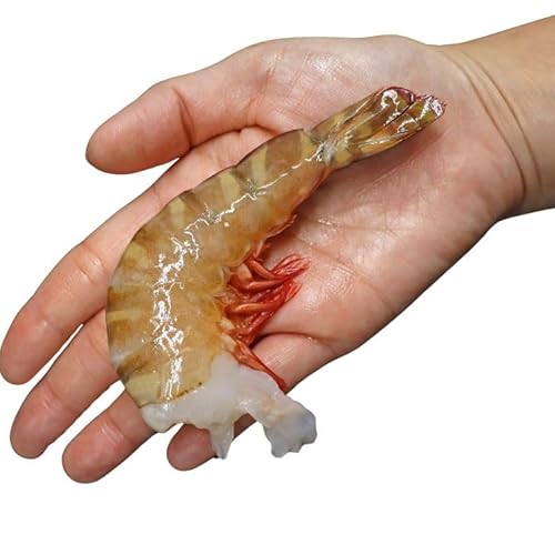 【当店直輸入】天然!!フラワー海老 16/20 サイズ 64尾から80尾入り 900gX2 1.8kg 1尾約22g〜28g 甘みが強い 冷凍エビ 冷凍えび 天然エビ エビチリ 海鮮鍋 エビフライ 天ぷら BBQ フラワーエビ 海鮮 大海老 大エビ 大きい