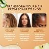 Just Nutritive Apple Cider Vinegar Rinse Cleanser for Gray Hair - Removes Hard Water Buildup, Brassiness & Yellowing Clarifying Scalp Detox, Sulfate-Free, 8 oz