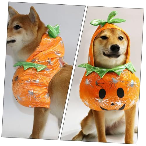 Disfraz para perros y gatos de calabaza Halloween pequeño miniatura 4