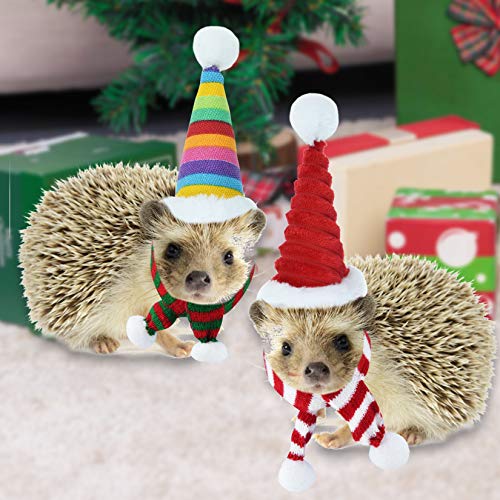 Jmkcoz 4 Pack Christmas Guinea Pig Costume Pet Santa Claus Cap Hat Scarf Red Colorful Stripe Pompom Scarf Hat for Guinea Pig Rabbit Hamster Chinchilla Hedgehog Kitten Ferrets Squirrel Small Animals - Thumbnail 6