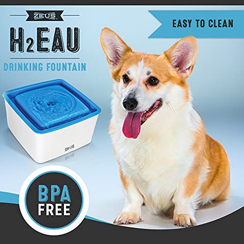 Dispensador de agua elevado para perros ZEUS Mini miniatura 6