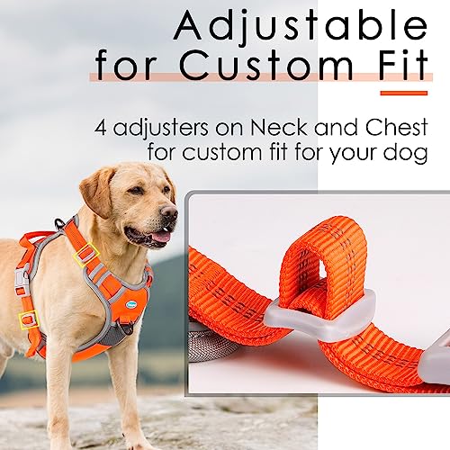 ThinkPet Anti-Zug Hundegeschirr Mit Griff - Leicht Zu Kontrollieren, Verstellbar Ohne Würgen, Reflektierend, Atmungsaktiv Gepolstert (M, Orange)