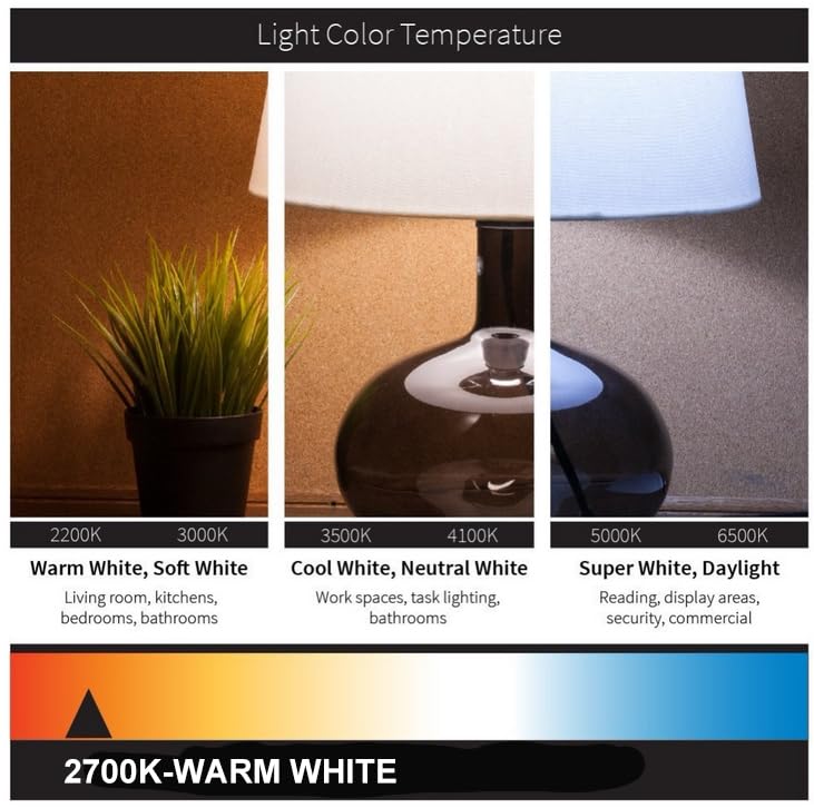 LED Filament Bulb G95 (φ95mm) 12W Super Bright 1500LM Super Bright Decorative Large Globe, E27 Screw Base, Warm White 2700K - Image 4