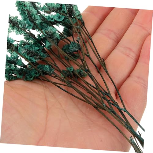 Kit de flores prensadas naturales para manualidades miniatura 7