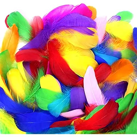 Coceca 300 Stück Bunte Federn Cover