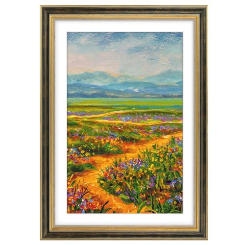 Golden State Art,13x19 Ornate Picture Frame Holds 11x17 Photo,Black Gold