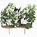 On2 Pets Cat Shelves Wall-Mounted Cat Trees Cat Furniture for Climbing, Playing and Relaxing, Set of 2, Indoor Cat Shelf Made in USA… (Zen Green, Curved)