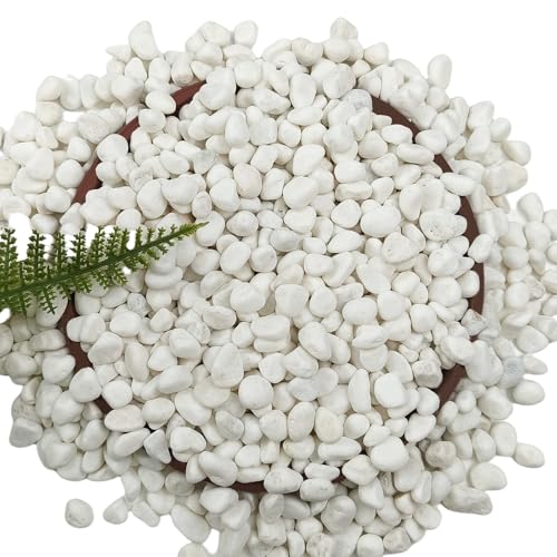 45LB Bulk White Gravel, Approx. 0.6 Inch Natural Unpolished Decorative Crushed Stones, River Rocks for Landscaping, Garden Projects, Driveways, Cactus, Planters, Vases, Aquariums, Outdoor Drainage Use