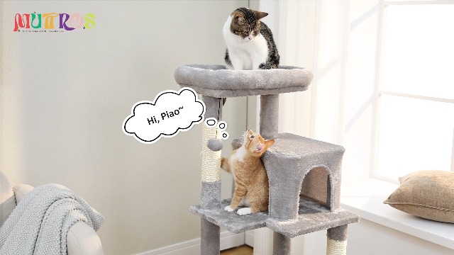 CAT★ MUTTROS Cat Tree for Indoor Cats, 45.7