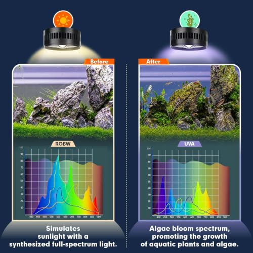 Image of AQQA Clip On Aquarium Light, Full Spectrum LED Fish Tank Stream Light | with 3 Modes (White /RGB /Full Spectrum), Timer & 6 Brightness Levels, Adjustable Clamp for Freshwater Plants Fish Tanks