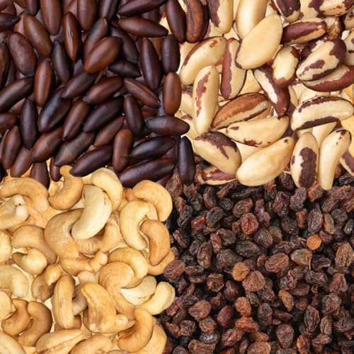 Image of Organic Trail Mix Nuts & Raisins 7oz - Brazil Nuts, Cashews, Baru Nuts & Raisins - Gluten Free, Non-GMO, Vegan, Healthy Snack - Forest Up