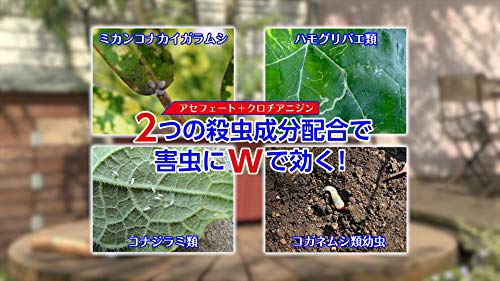 最安値 住友化学園芸 オルトランdx粒剤 1kgの価格比較 最安値 住友化学園芸 オルトランdx粒剤 1kgの価格比較
