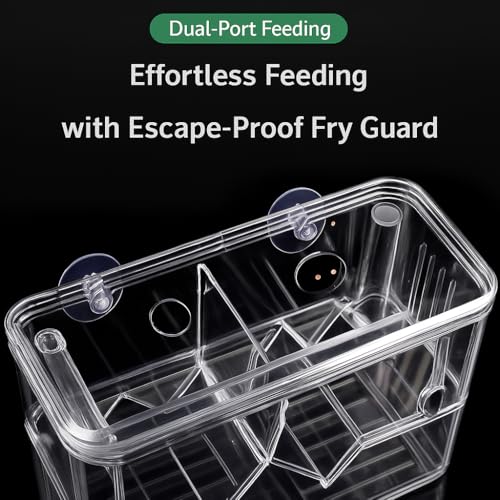 Image of VAYINATO Aquarium (Large) Guppy Double Deck Breeding Box with Suction Cups - 13x10x7cm | Transparent Isolation & Breeding Tank for Fish, Fry & Betta | Sturdy, Safe & Easy to Use