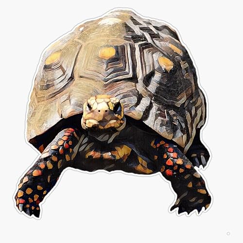 Red-Footed Tortoise Sticker Bumper Sticker Vinyl Decal 5"
