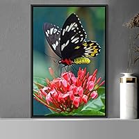 Framed Canvas Wall Art Butterfly Expressive Farmhouse/Country Home Office Insects Lake Multicolor Photography - 16x24 inches