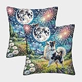 Photo Gallery wxlwhr federe cuscini border collie, set di 2, copricuscini con disegno border collie fireworks, poliestere lavabile in lavatrice, decorativi per sedia, camera da letto 40x40cm Photo Gallery wxlwhr federe cuscini border collie, set di 2, copricuscini con disegno border collie fireworks, poliestere lavabile in lavatrice, decorativi per sedia, camera da letto 40x40cm