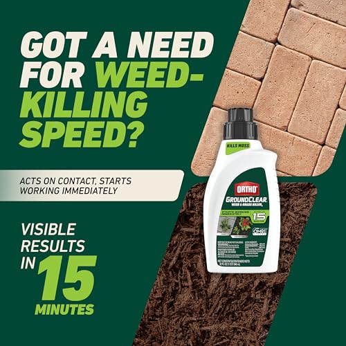 Image of Ortho GroundClear Weed and Grass Killer2 Concentrate, Kills Dandelions, Chickweed, Crabgrass, Moss and More in Patios and Landscapes, OMRI Listed, 32 fl. oz.