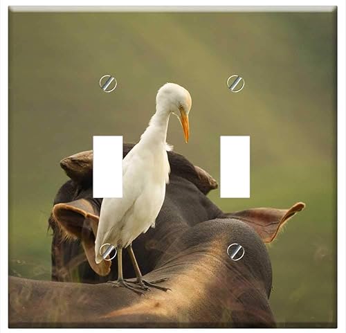 Interruptor Placa Doble Palanca - Aves Naturaleza Quindio Colombia 2