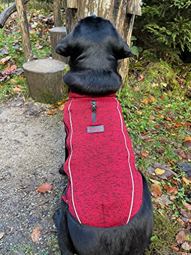 iEnergy™ OSC isolierende und warme Outdoor-Hundejacke mit Fleece-Innenfutter, windabweisender, ultraleichter und reflektierender Hundemantel, Ganzjahres-Hundeviespullover (Rot, Extra, Extra Groß)