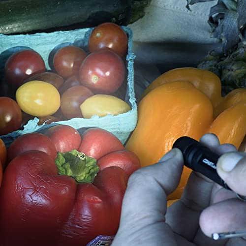 Coast 30771 Kl10 100 Lumen Led Keychain Light thumb #5