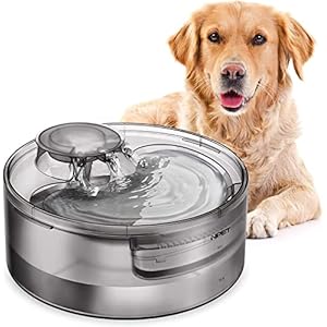 NPET Fuente de agua para perros de 5 litros, dispensador de agua para perros, fuente de agua automática para gatos, fuente grande para mascotas con 2 filtros para gatos y perros adultos, bomba