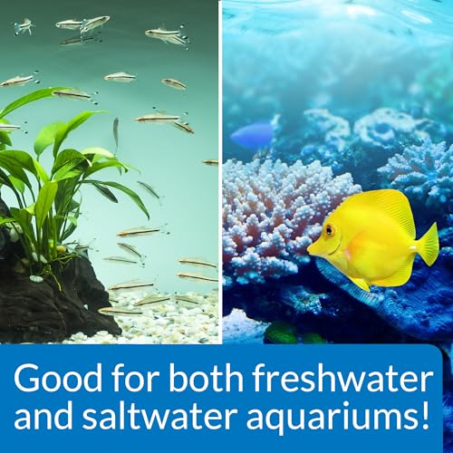 Image of API Stress Zyme Freshwater and Saltwater Aquarium Cleaning Solution 16-Ounce Bottle (Pack of 12)