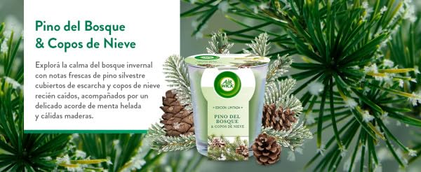 perfume aromático perfume aromático