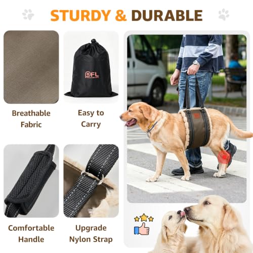 Image of Adjustable Dog Sling for Extra Large Dogs Mobility Aid for Weak Rear Legs