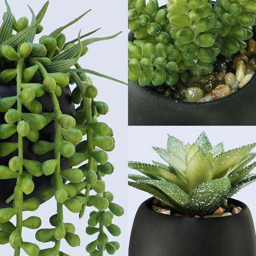 Winlyn-Set-of-3-Artificial-Succulents-Plants-in-Black-Cement-Planters-Faux-Potted-Plants-Aloe-String-of-Pearls-Donkey-Tail-Small-House-Plants-5-Tall-for-Table-Shelf-Home-Office-Bathroom-Living-Room Winlyn Set of 3 Artificial Succulents Plants in Black Cement Planters Faux Potted Plants Aloe String of Pearls Donkey Tail Small House Plants 5 Tall for Table Shelf Home Office Bathroom Living Room