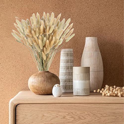 SLFYEE 100PCS Erba della pampas Decorative Erba