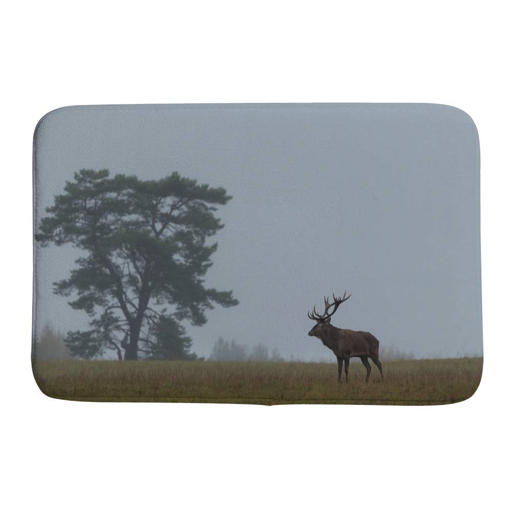 Tapis de douche paysage brumeux pour ambiance nature de bain