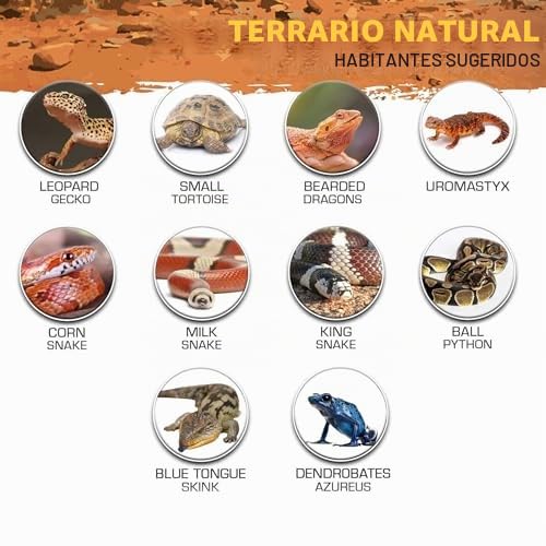 Terrario de cristal para reptiles con ventilación de pantalla superior, tapa antiescape, vista de 360°, entradas de alambre integradas para tortugas, lagartos, camaleones