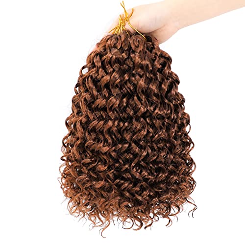 Dansama GoGo Curl Crochet Braids Beach Curl Water Wave Crochet Synthetic Hair Extensions (12 inch (Pack of 2), 30)