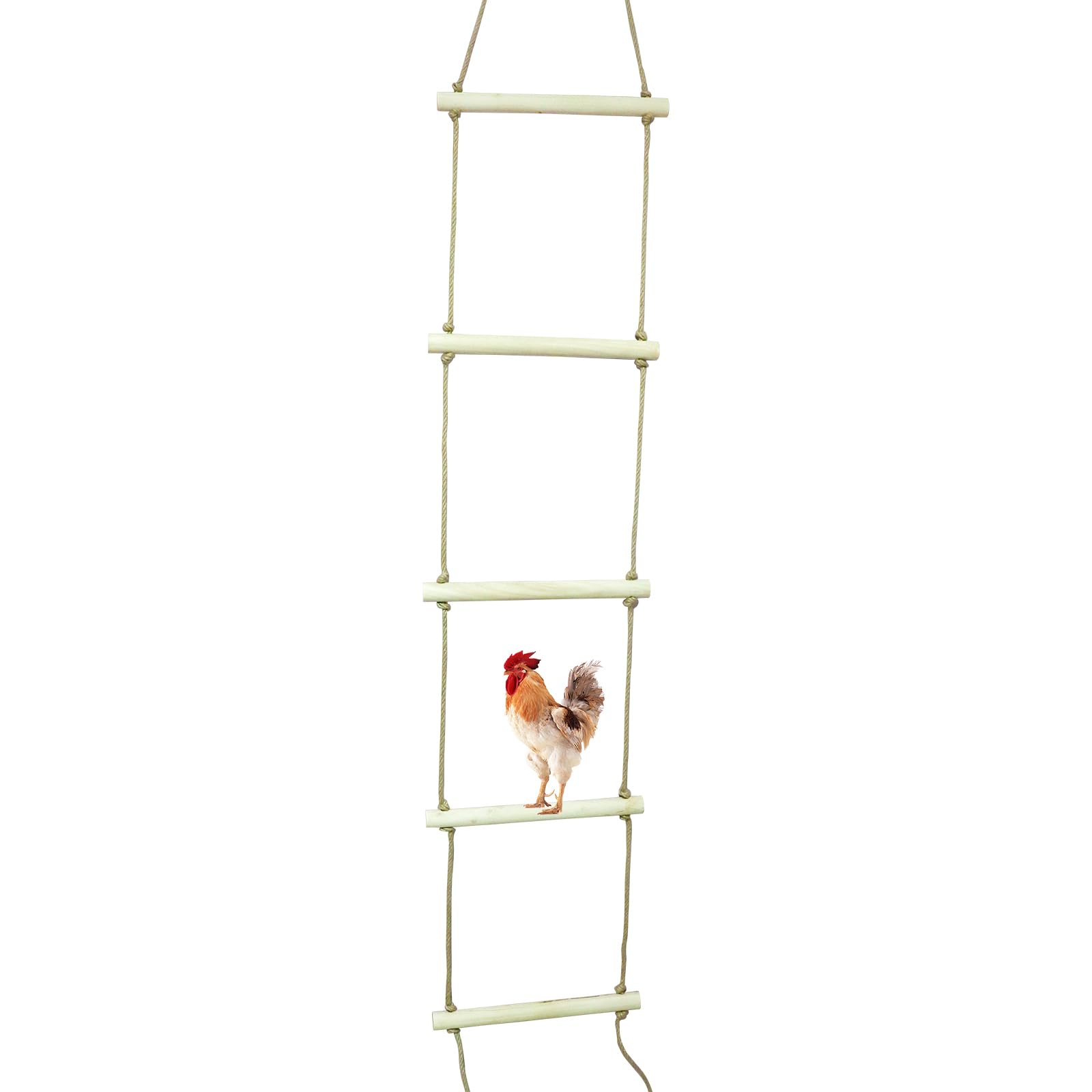 Extra Long Chicken Perch Stand, Natural Wood Chick Swing Toy for Coop, Chicken Coop Accessories, Chicken Roosting Bars, Outdoor Perch Toy for Poultry Chicken Chick Hens Large Bird Parrot 138 × 16 Inch