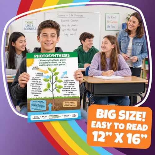Affiches sciences de la vie Sproutbrite pour animer les cours d'école - 7