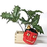 スタンド 節分 枡 20cm