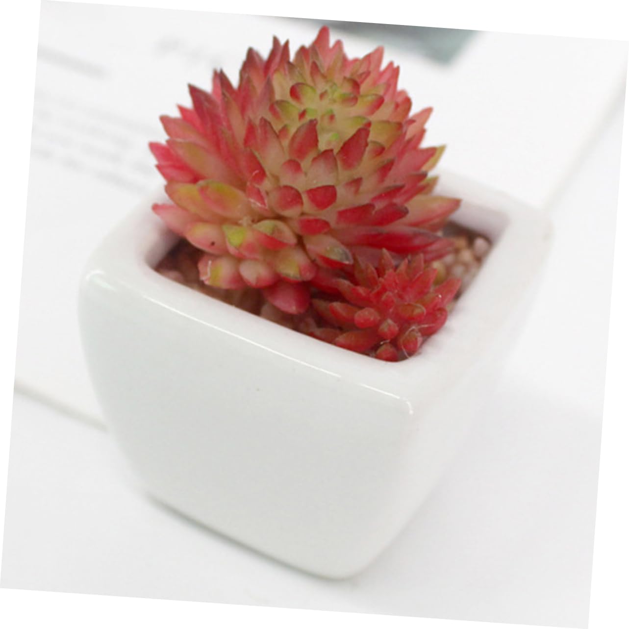 PRETYZOOM Set de Mini Succulentes Artificielles en Pot Céramique Blanche Lot de 6 sans Arrosage Décoration Naturelle pour Rebord de Fenêtre et Bureau