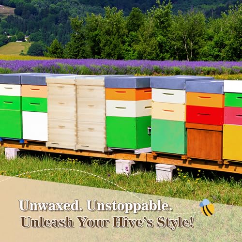 BeeCastle 10-Frame Complete Bee Hives and Supplies Starter Kit, Beehives for Beginners with Beehive Frames and Waxed Foundations (2 Deep Bee Boxes & 2 Medium Super Bee Boxes)