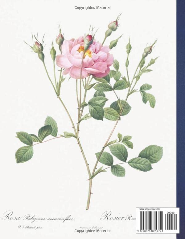 Composition Notebook: Anemone Flowered Sweetbria Awesome Wide Ruled 8.5x11 - 110 Pages Video Games Wide-Ruled Lines For kids, teens, students, and ... Video Game Lovers, cool book for writing in. image 3