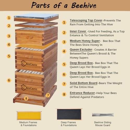 Beecastle 8 Frame Langstroth Bee Hive Coated With 100% Beeswax Includes Beehive Frames And Waxed Foundations thumb #1