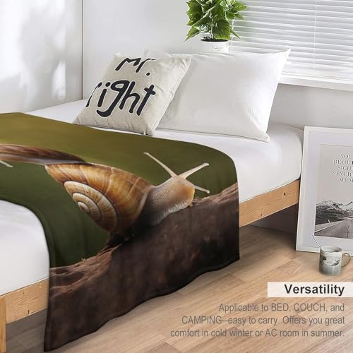 Manta de franela caracol 3D suave mullida cuatro estaciones para cama y sofá 7