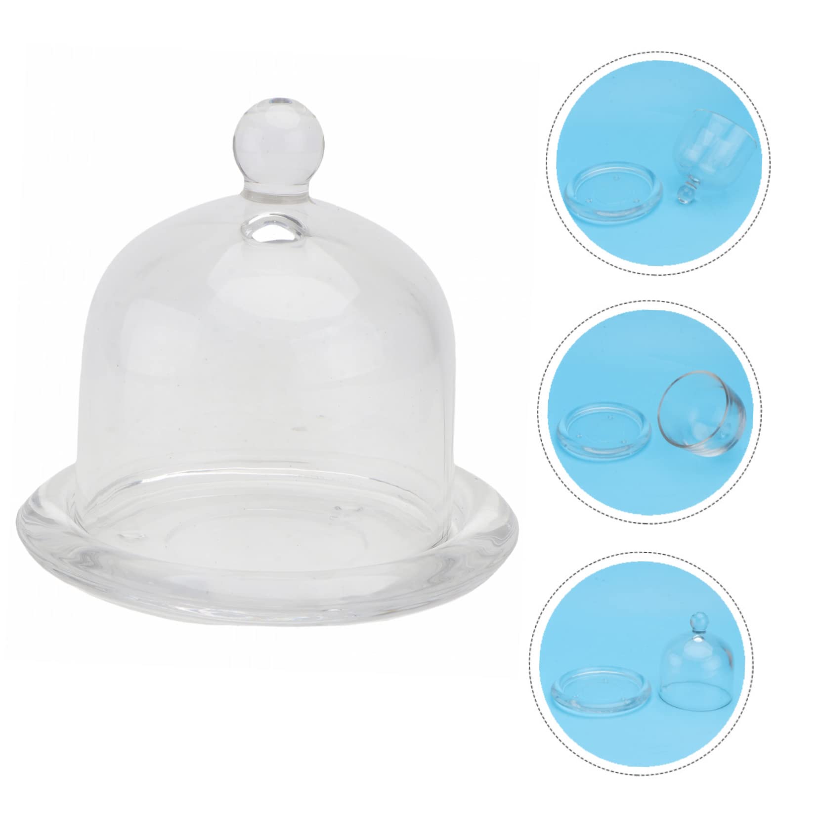 PHENOFICE Klare Kuchenhaube Rechteckig - Abdeckung Für Snacks Und Desserts